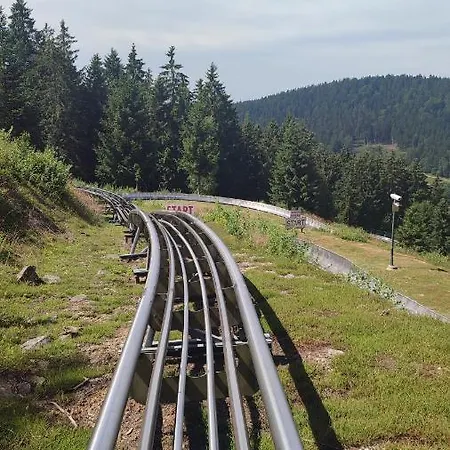 Stressless Aktivcard Bayerischer Wald Inklusive Aparthotel Sankt Englmar
