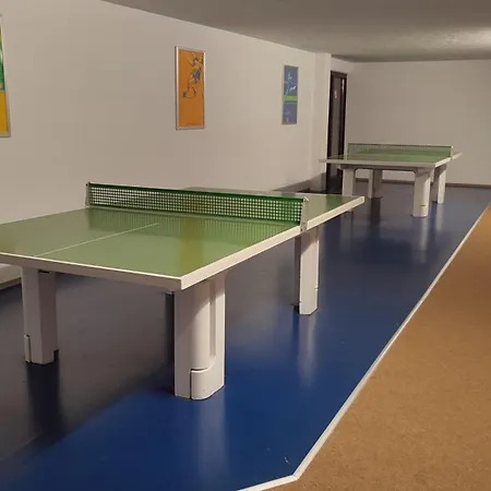 Stressless Aktivcard Bayerischer Wald Inklusive 4* סנקט אנגלמר